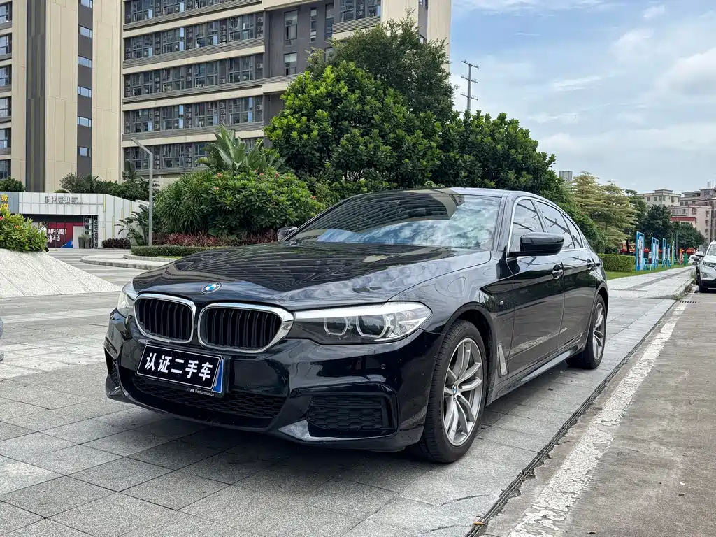 BMW 5 Series 2020