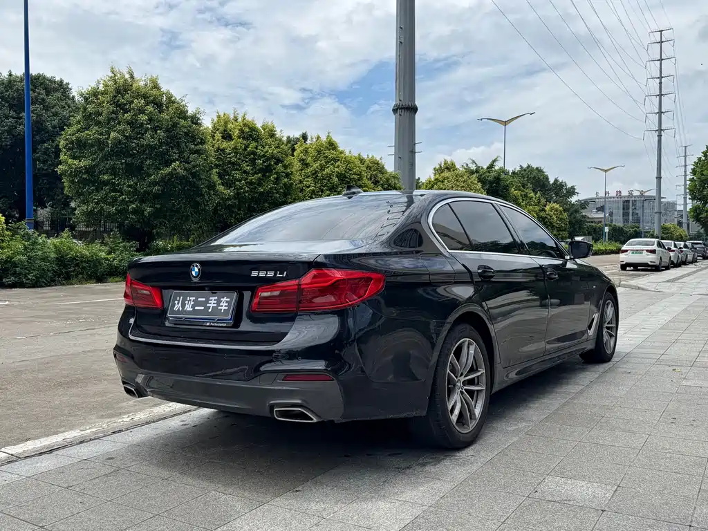 BMW 5 Series 2020