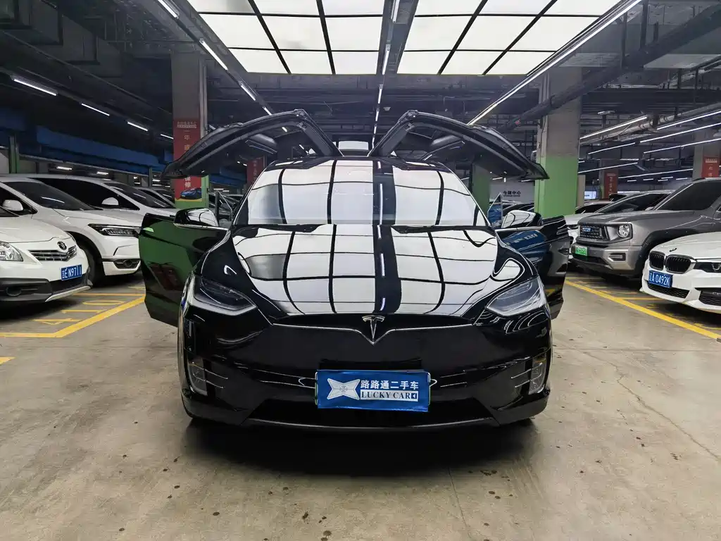 Tesla Model X 2018 — фото 7