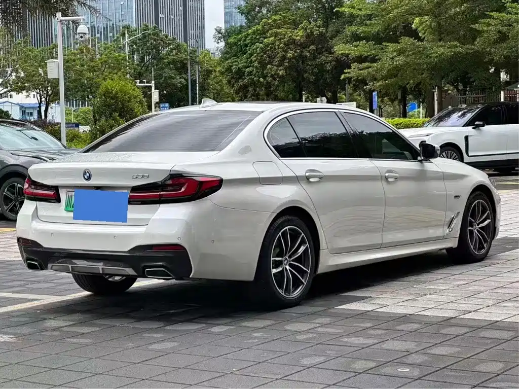 BMW 5 Series New Energy 2021