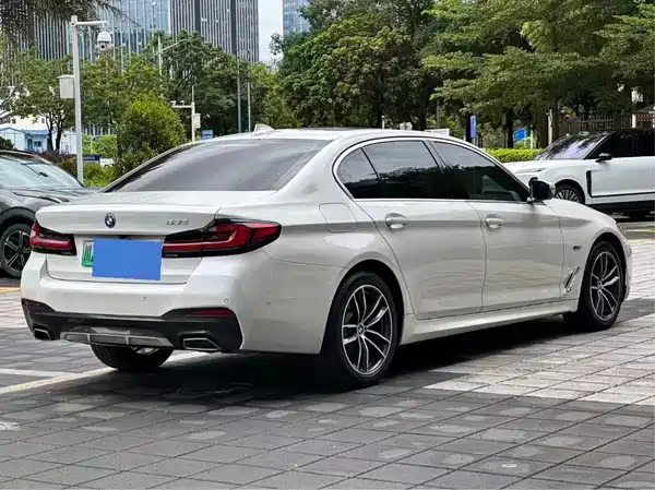 BMW 5 Series New Energy 2021