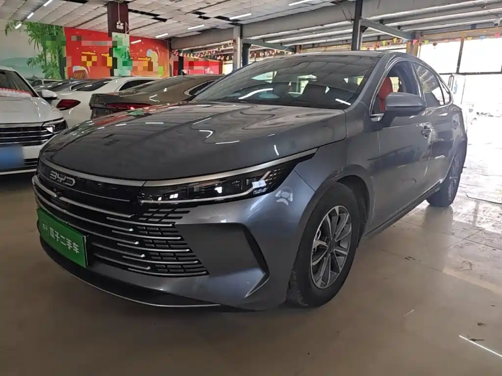 BYD Destroyer 05 2025 — фото 2