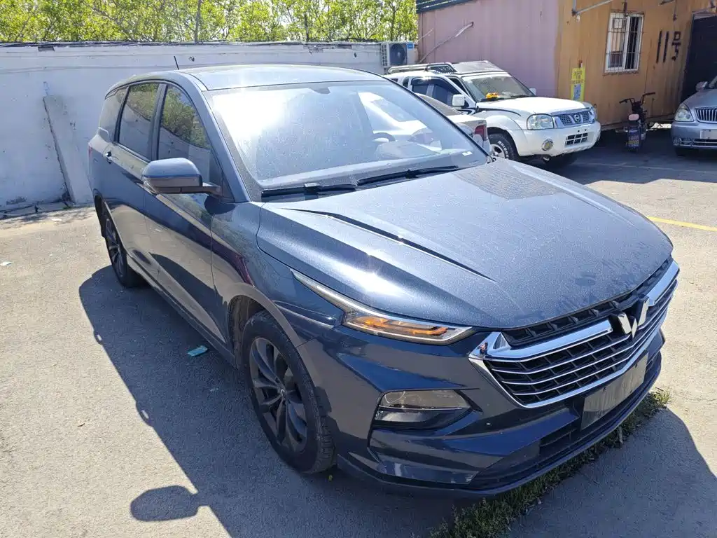 Wuling Capgemini 2020 — фото 22