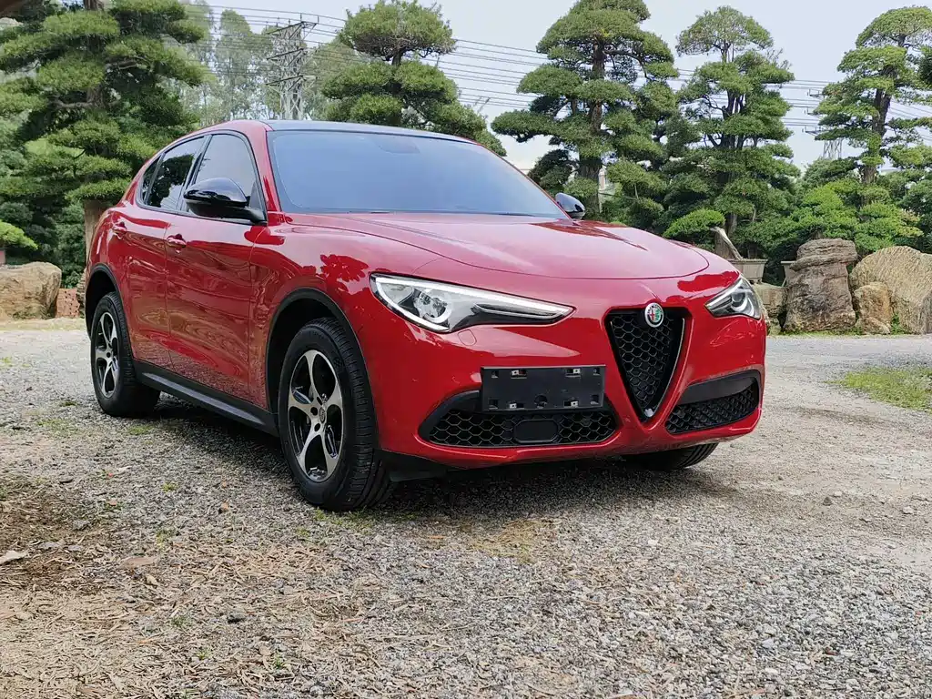 Alfa Romeo Stelvio 2019 — фото 3