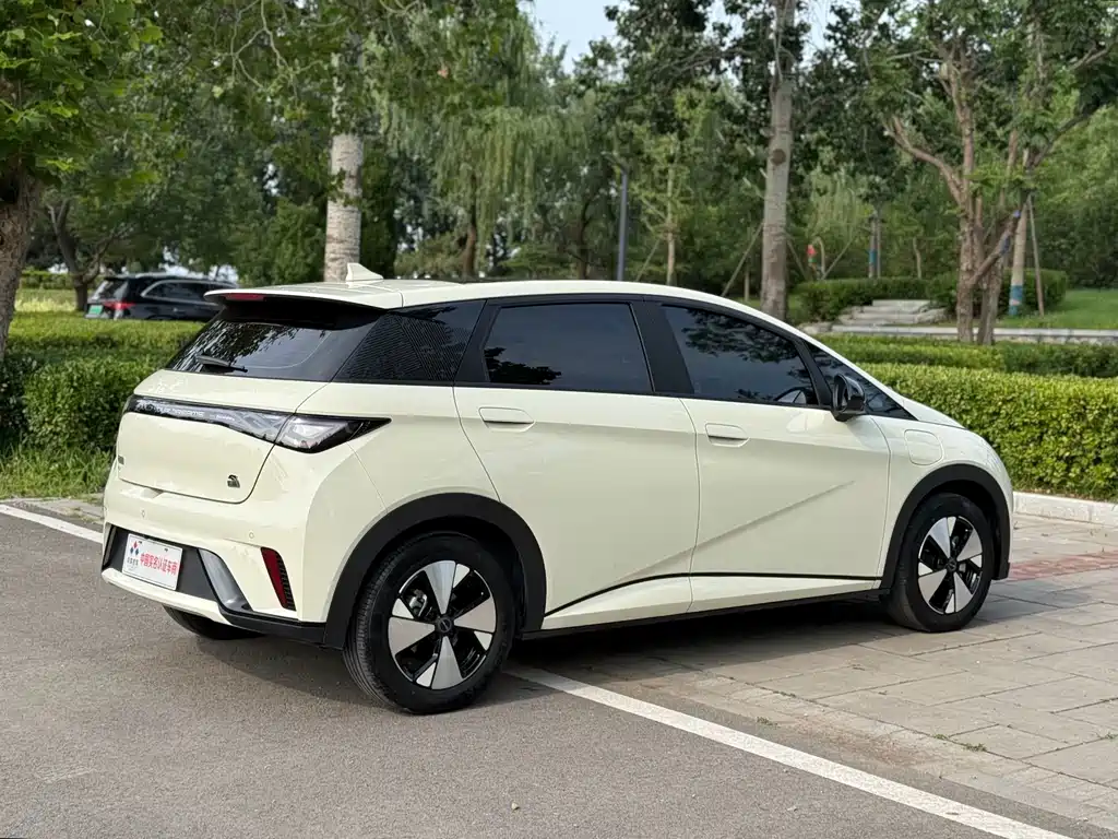 BYD Dolphin 2023 — фото 16