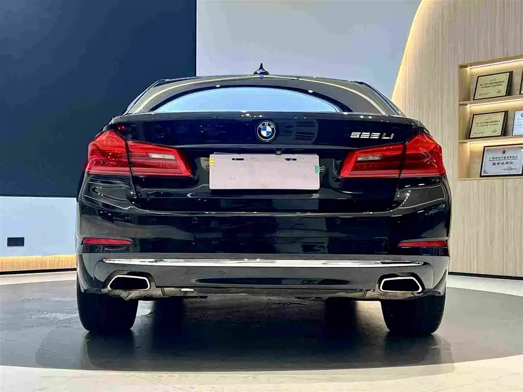 BMW 5 Series 2019