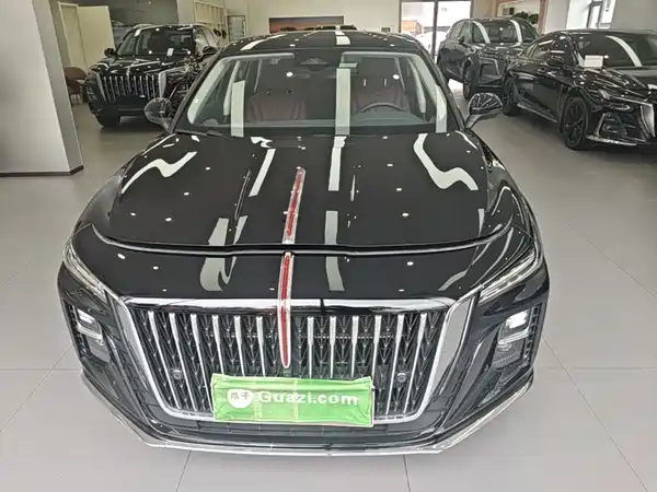Hongqi H5 2024