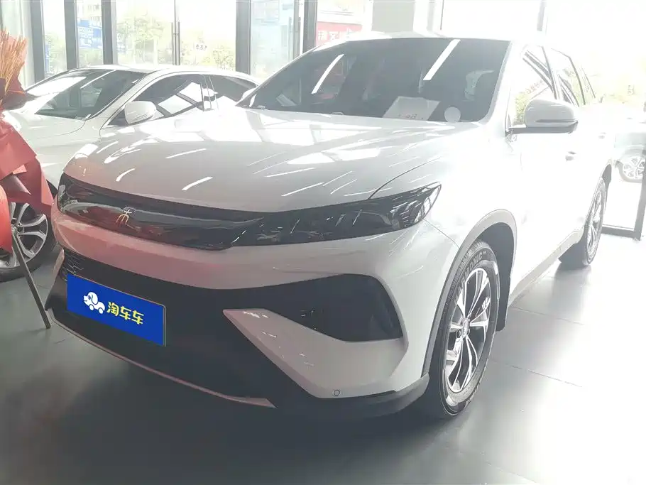 BYD Pro New Energy 2025 — фото 1