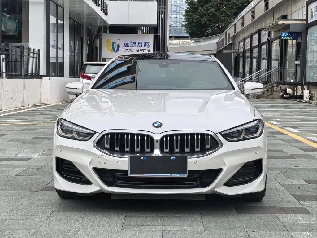 BMW 8 Series 2024 — фото 1