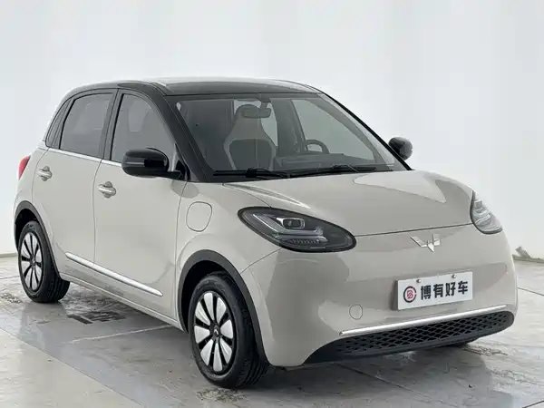 Wuling Bingo 2024