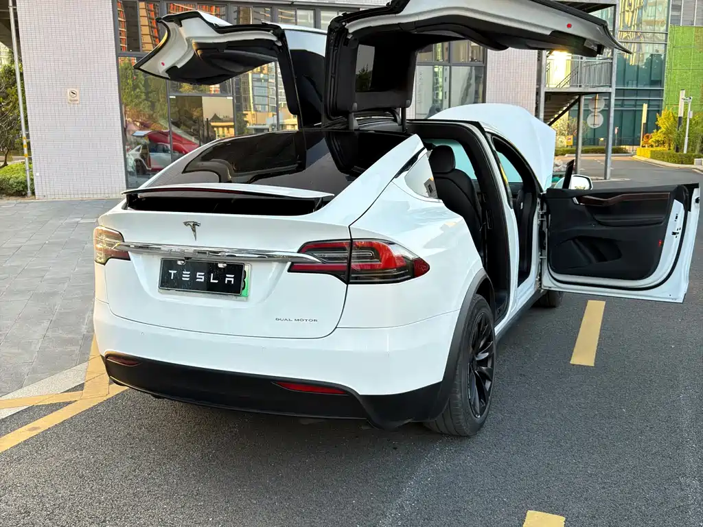 Tesla Model X 2020 — фото 17