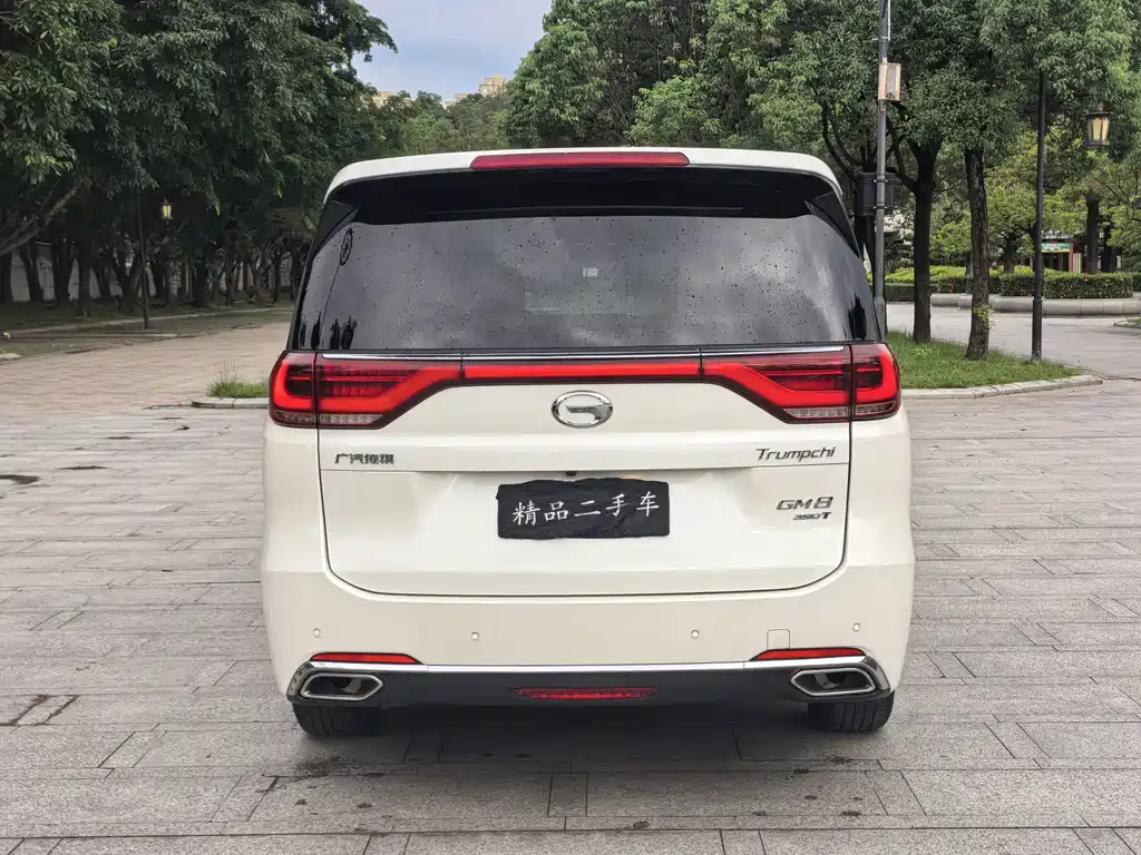 GAC Trumpchi M8 2020 — фото 6