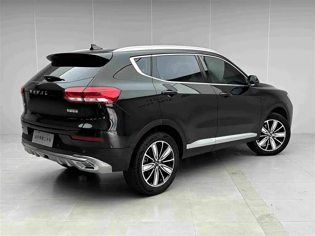 Haval H6 2020 — фото 4