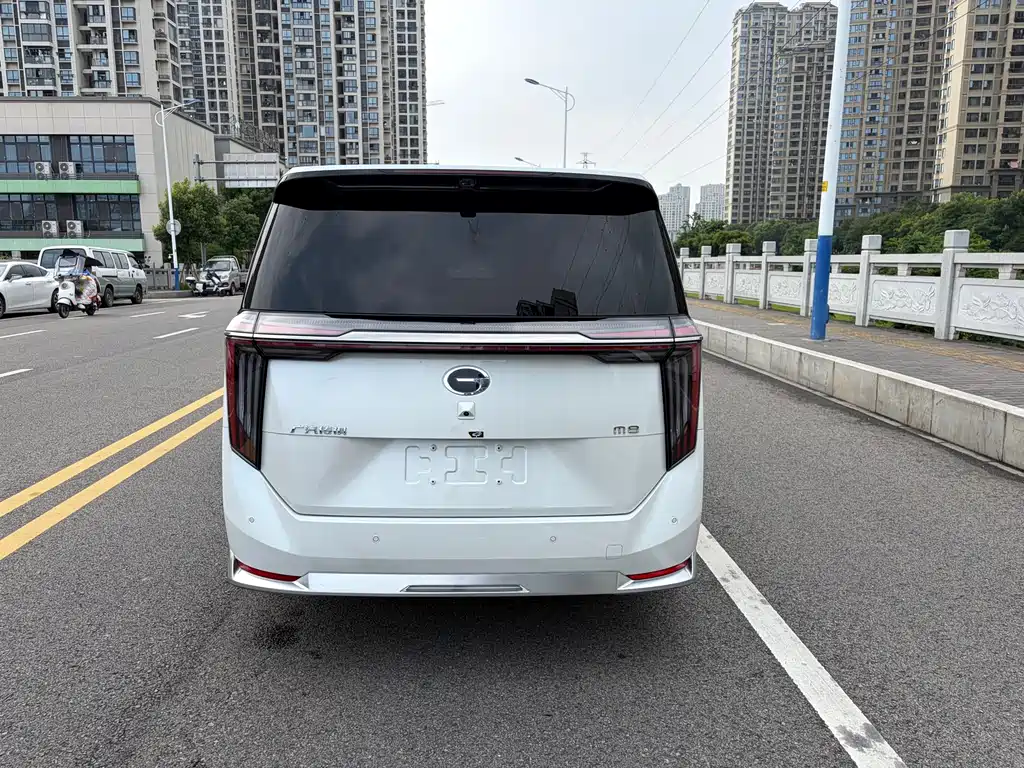 GAC Motor Xiangwang M8 2025 — фото 12