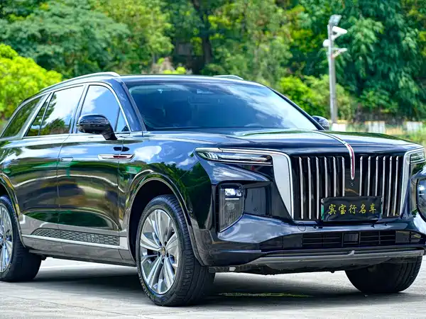 Hongqi E-HS9 2023
