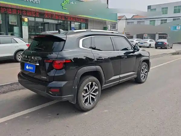 Haval Dog PLUS 2024