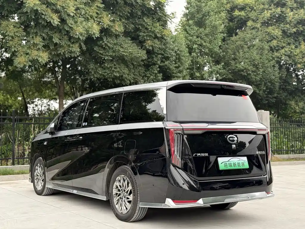 GAC Motor Xiangwang M8 2025 — фото 7