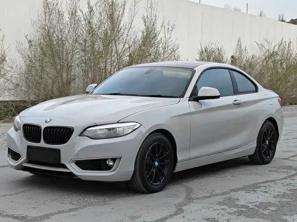 BMW 2 Series 2016