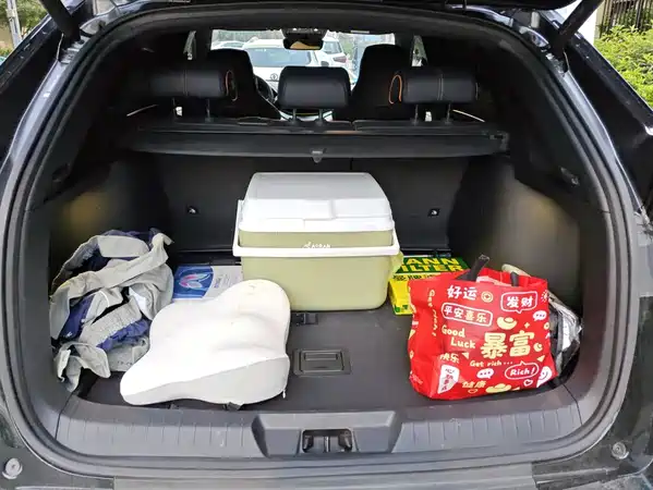 BYD Song PLUS New Energy 2023