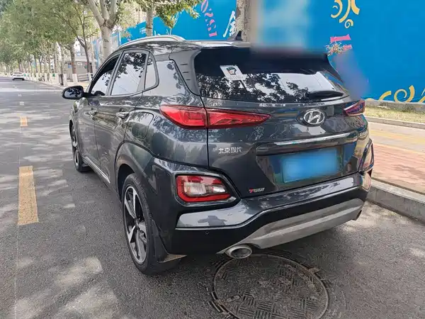 Hyundai ENCINO 2019