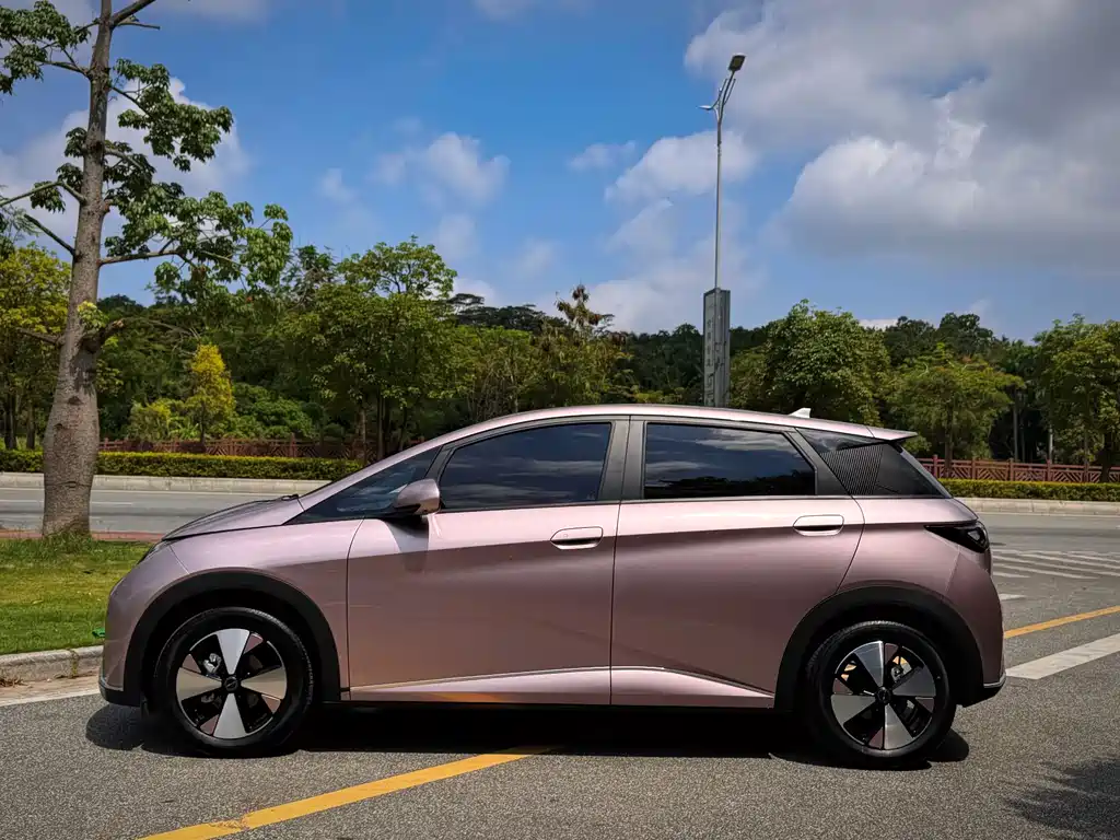BYD Dolphin 2023