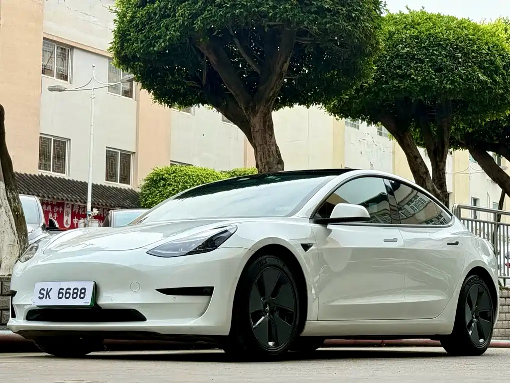 Tesla Model 3 2021