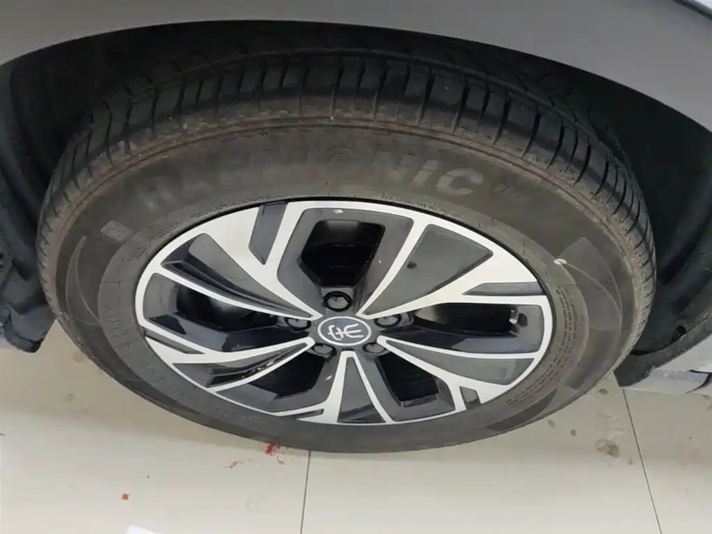 BYD Pro New Energy 2025 — фото 23