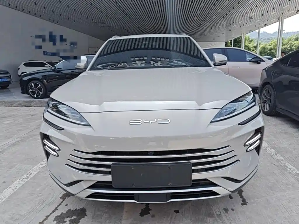 BYD Song PLUS New Energy 2023 — фото 3