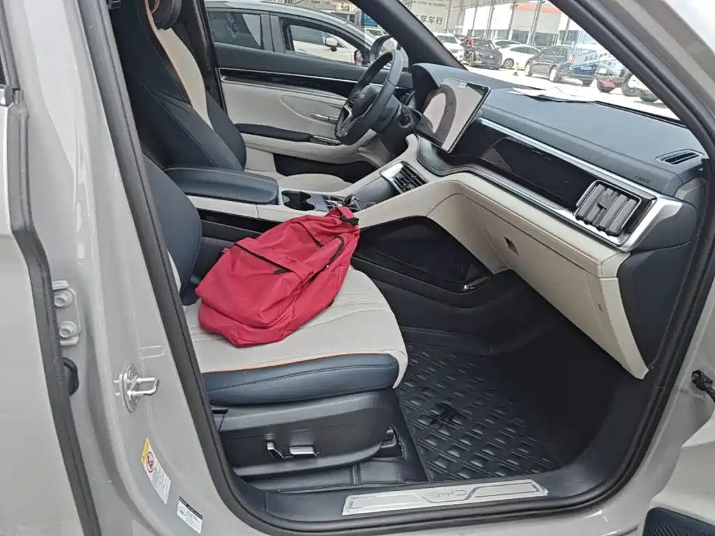 BYD Song PLUS New Energy 2023 — фото 25