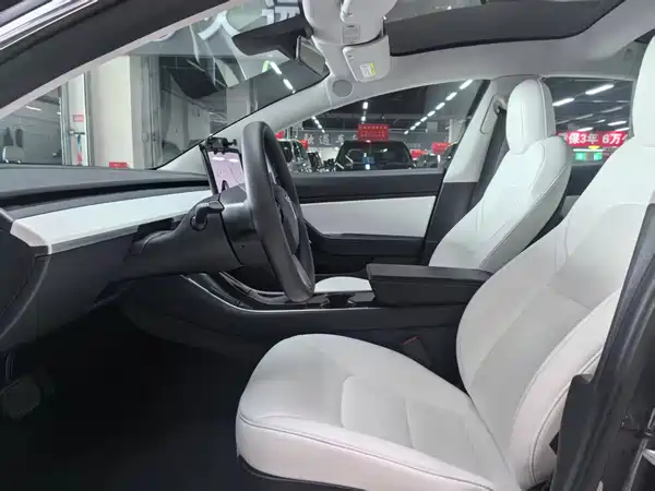 Tesla Model 3 2020