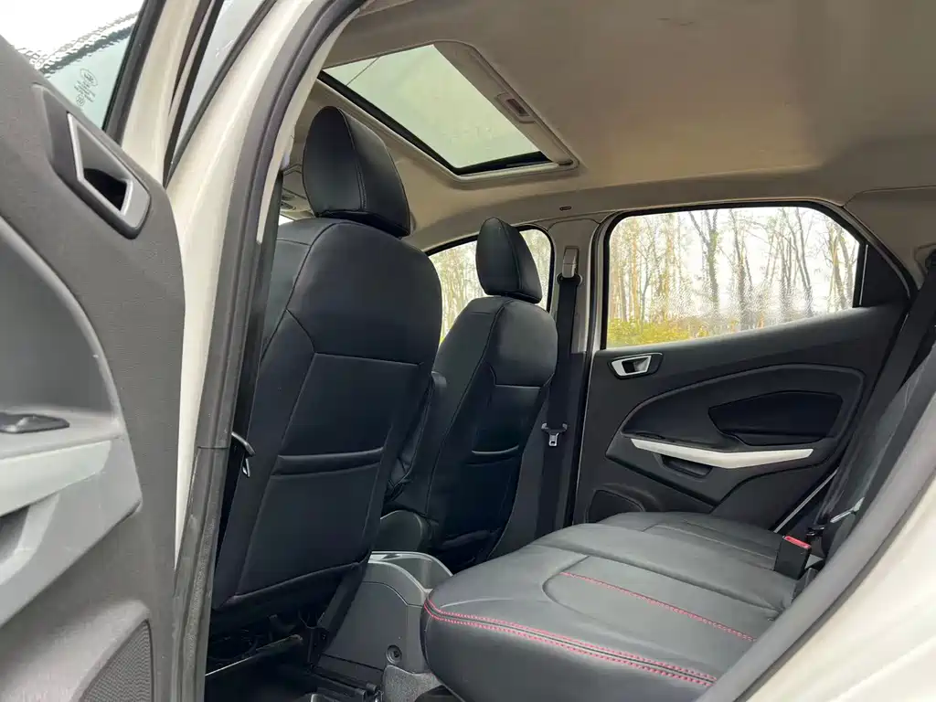 Ford Ecosport 2014 — фото 15