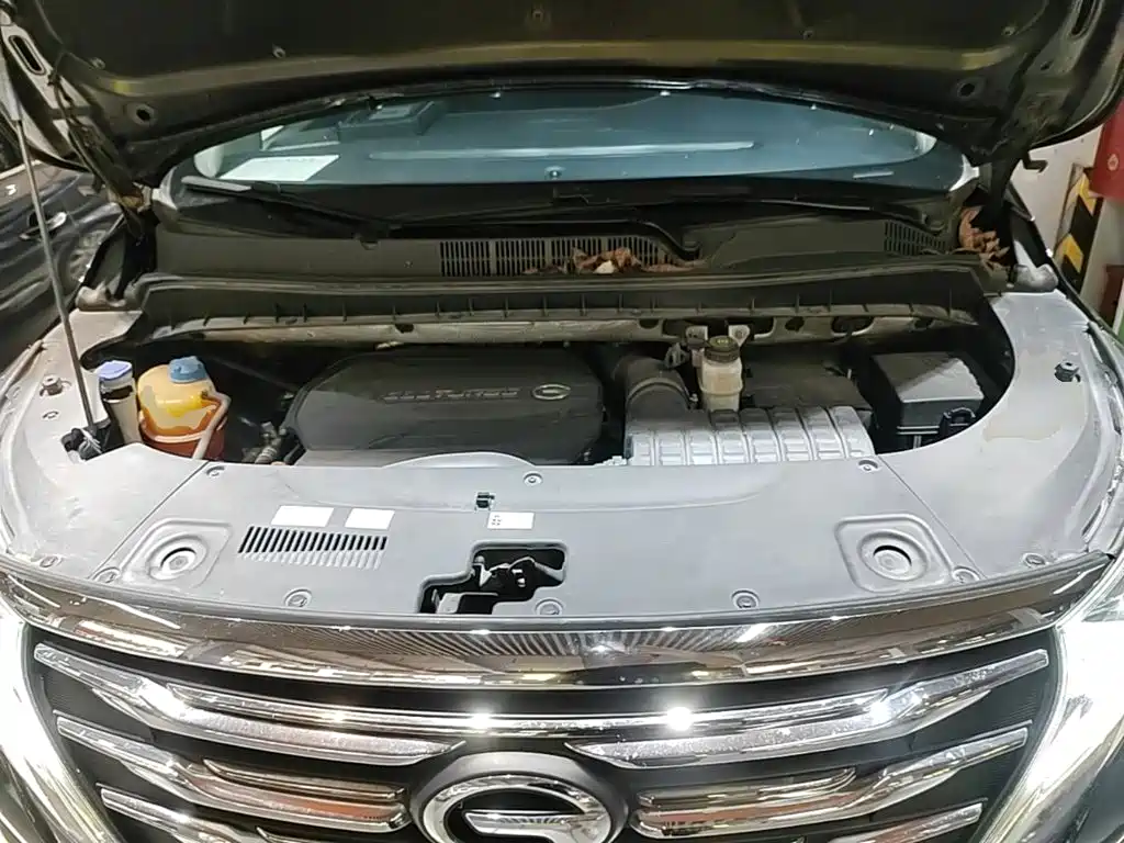 GAC Trumpchi M8 2020 — фото 20