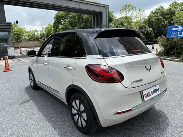 Wuling Bingo 2024