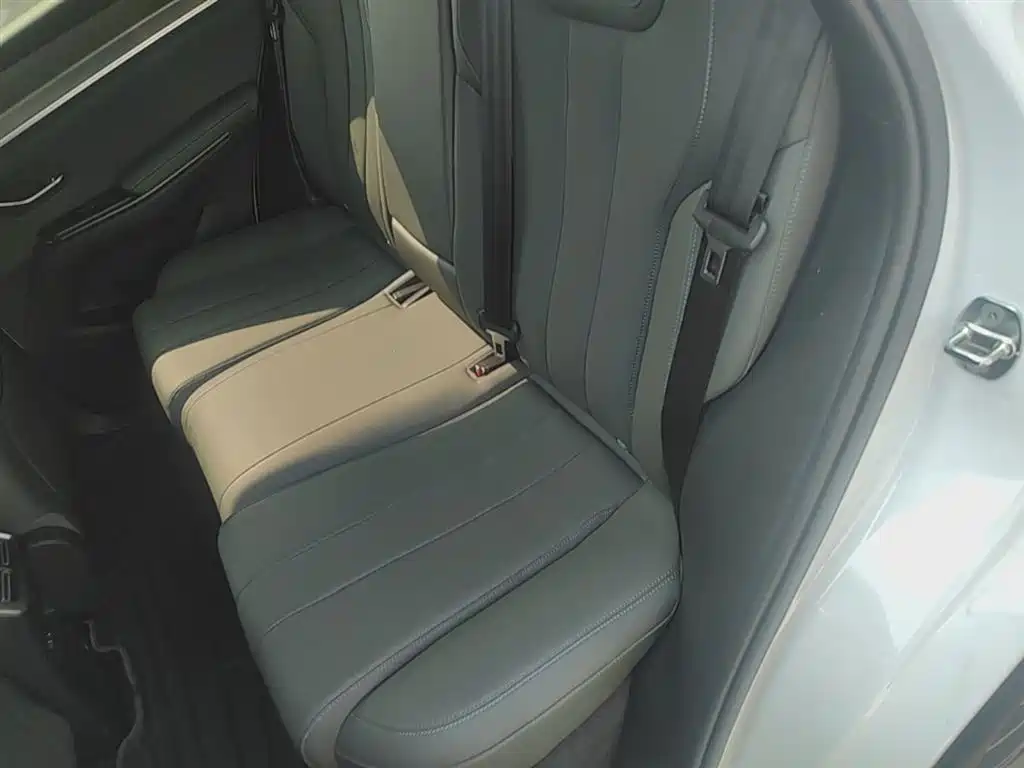 BYD Pro New Energy 2025 — фото 24