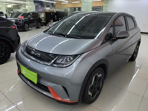 BYD Dolphin 2022