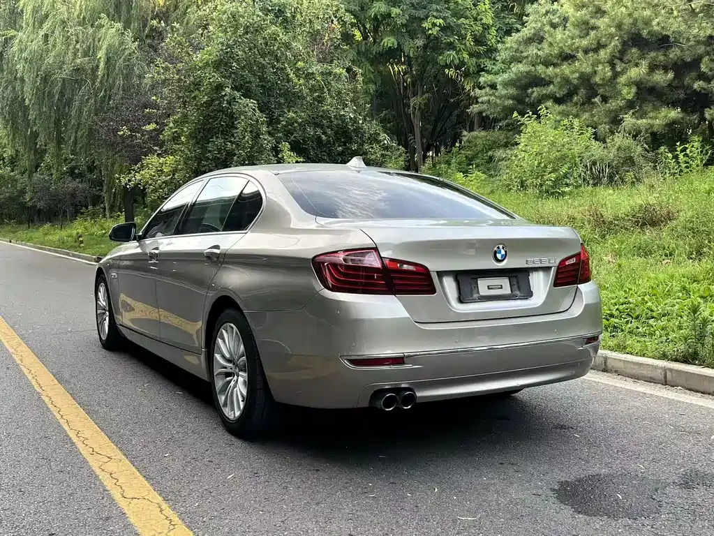 BMW 5 Series 2017 — фото 6