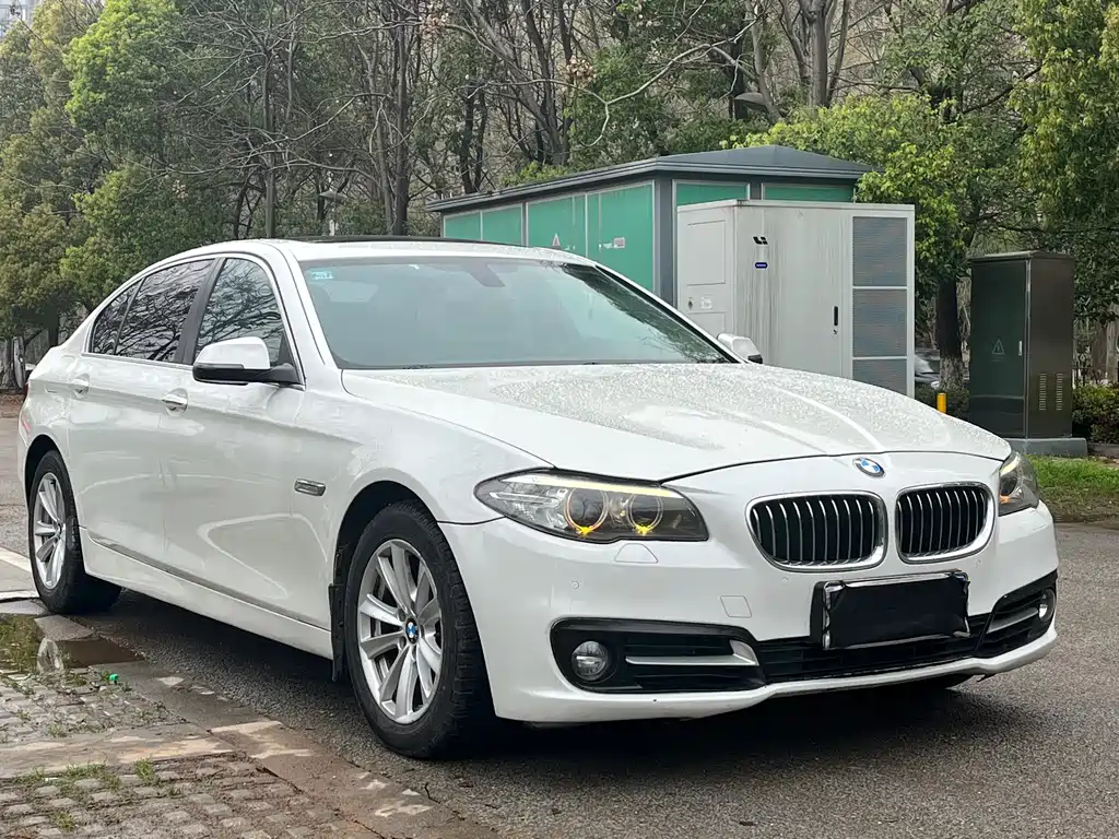 BMW 5 Series 2014 — фото 3