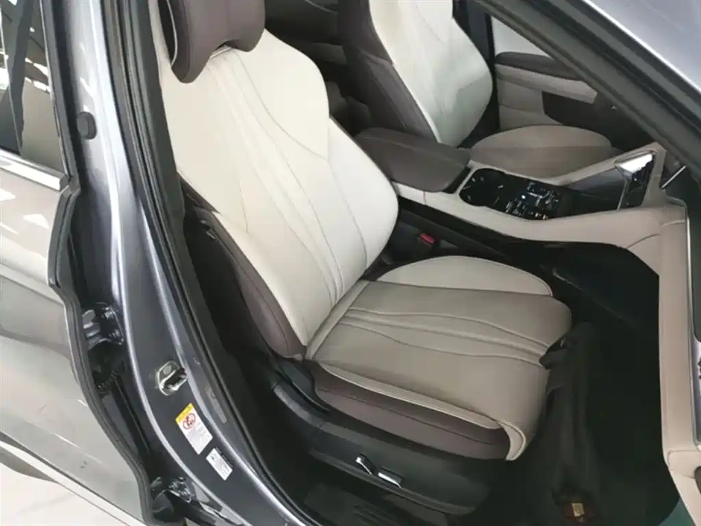 BYD PLUS New Energy 2025 — фото 25