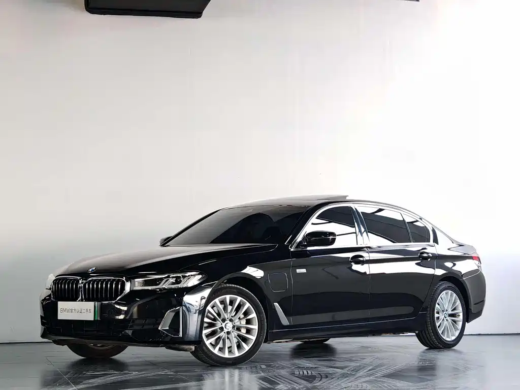 BMW 5 Series New Energy 2021 — фото 1