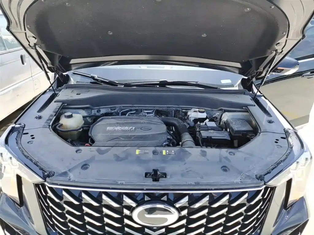 GAC Motor Trumpchi GS8 2024 — фото 20
