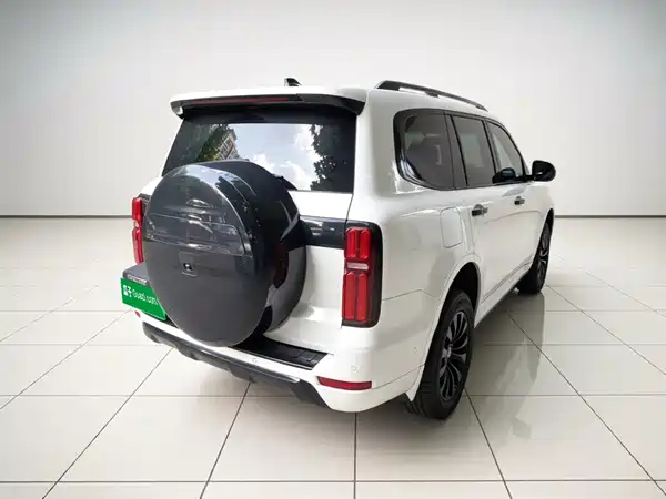 Tank 500 New Energy 2024