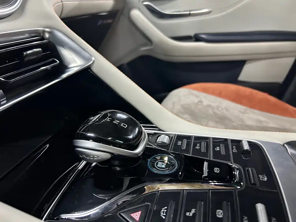 BYD PLUS New Energy 2023 — фото 15