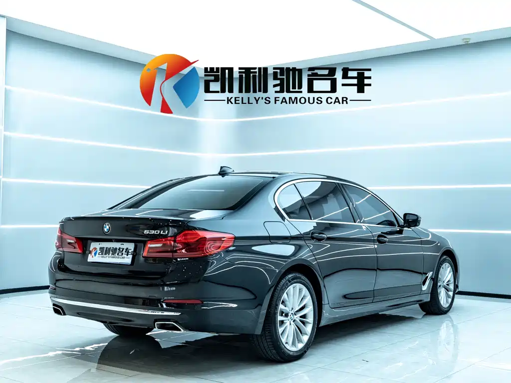 BMW 5 Series 2018 — фото 4