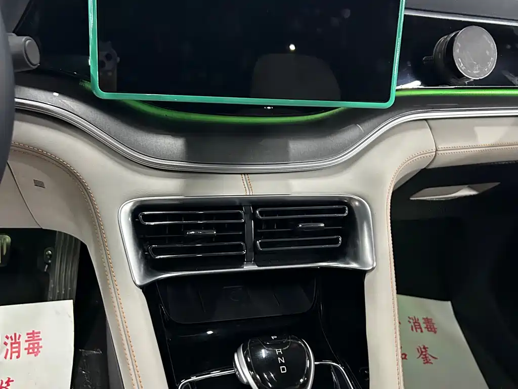 BYD PLUS New Energy 2023 — фото 16