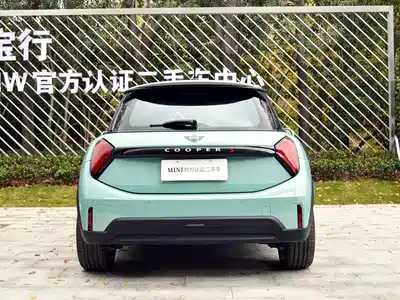 MINI MINI 2025