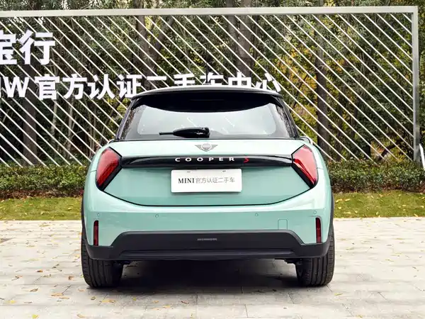 MINI MINI 2025