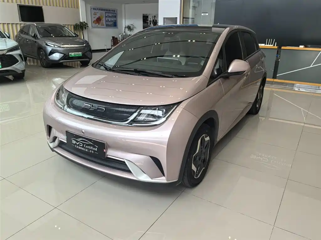BYD Dolphin 2022