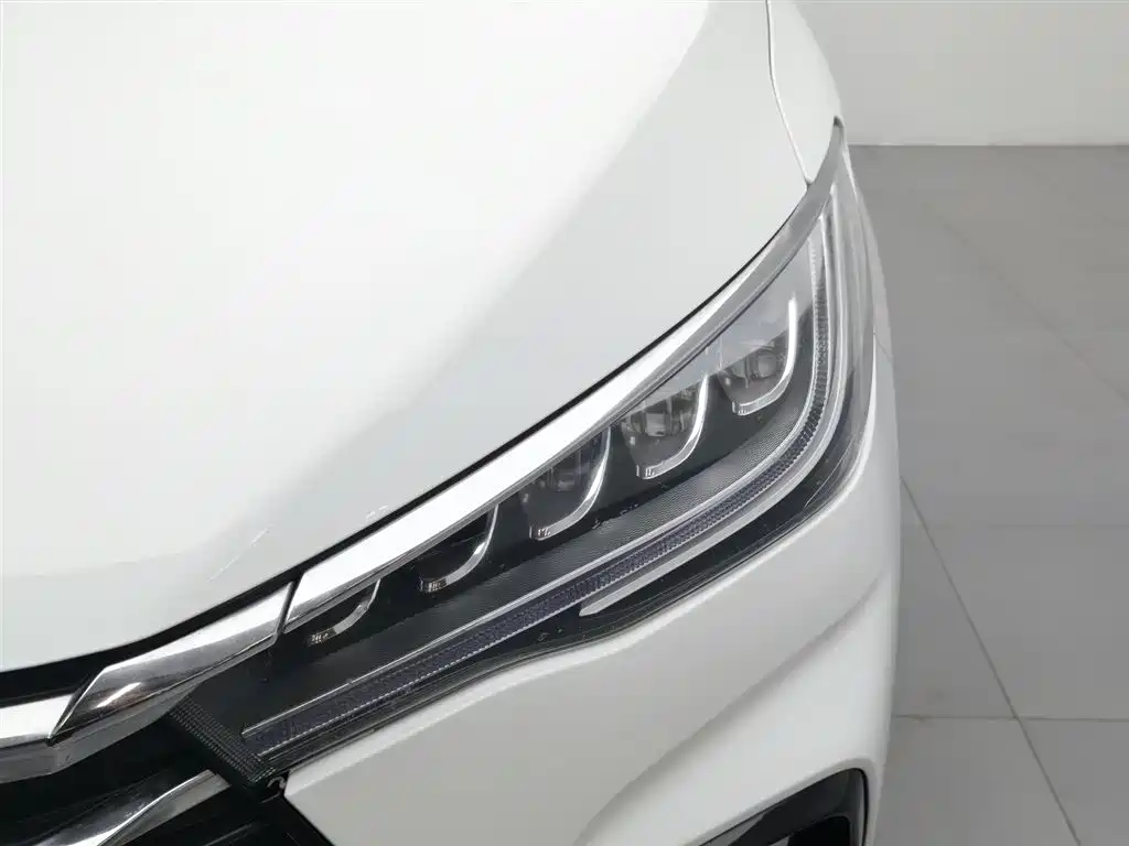 BYD MAX 2021