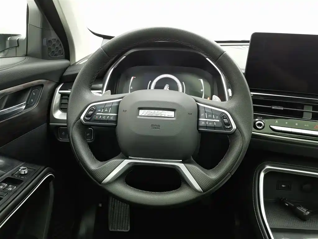 Haval H6 2021 — фото 11