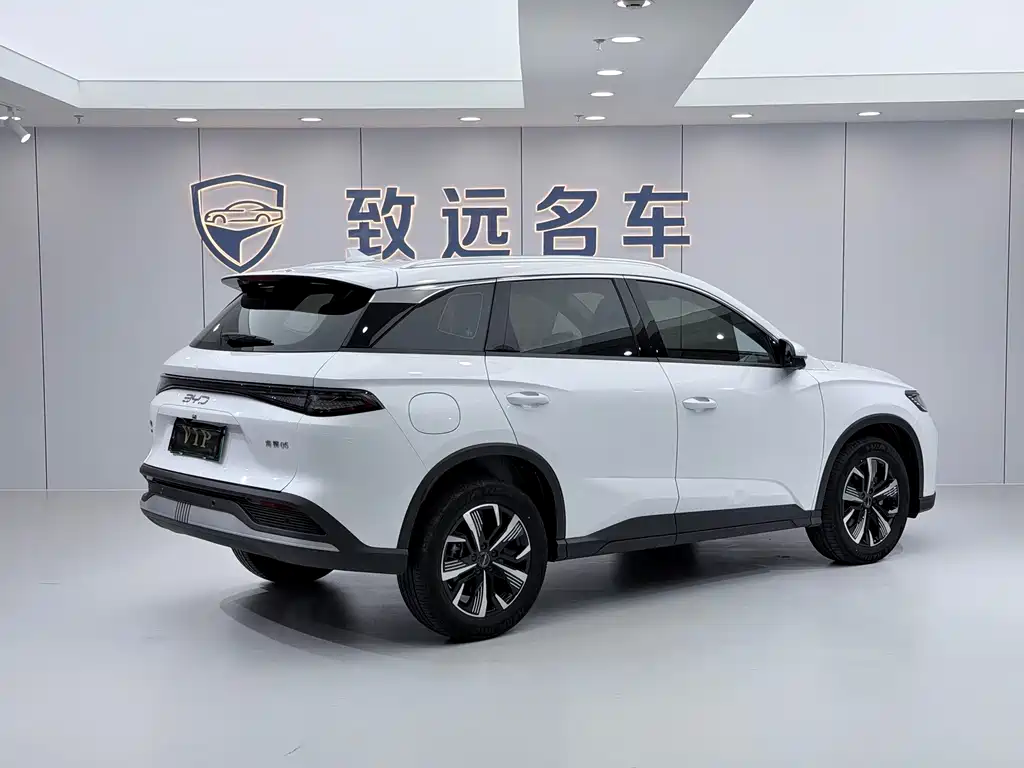 BYD Sealion 05 DM-i 2025 — фото 6